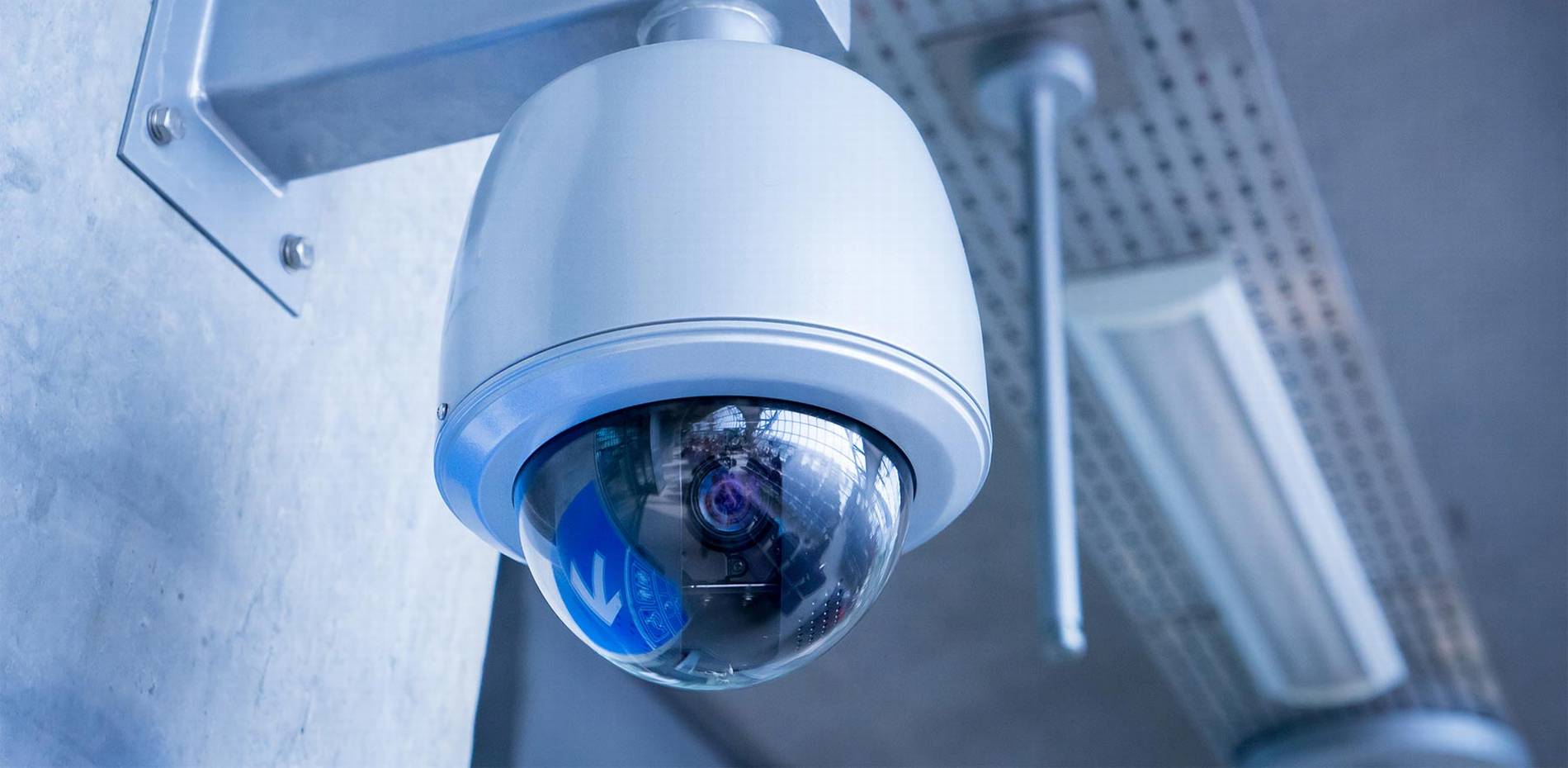 #1 Best Security Camera Company: CAT6 CAT7 CAT8 Network vs Wiring Installer Low Voltage Fiber Optic Hollywood